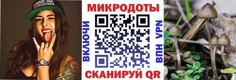 Галлюциногенные грибы прущие грибы Лихославль
